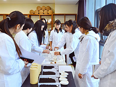 茶學講師班